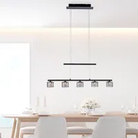 Paul Neuhaus LED-Pendelleuchte Hydra Alu, Eisen, Stahl & Metall