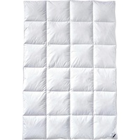 Billerbeck Clivia 90 135x200 cm