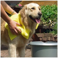 Beeztees Hundehandtuch gelb