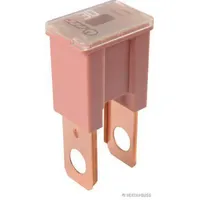 Herth+Buss HERTH&BUSS ELPARTS Sicherung 50295443