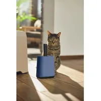 Rotho Katzentoilette Biala Schaufel XL Blau