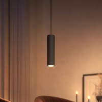Philips hue Perifo Pendel Erweiterung Schwarz