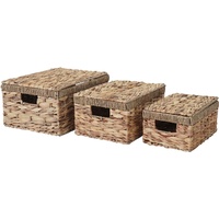 MCW 3er Set Aufbewahrungsbox C23 Wasserhyazinthe Naturfarben