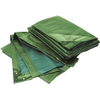 RAIN EXO RAINEXO Abdeckplane, 150g/qm, 4x6m, gr/bl