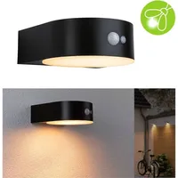 Paulmann Solar LED Außen-Wandleuchte Eileen mit Bewegungsmelder