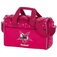Scout VI Silver Star