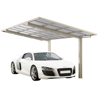 Ximax Carport Linea Typ 80 Edelstahl-Look XS 243 x