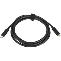 HP 100W