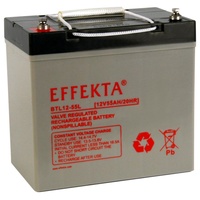 EFFEKTA BTL 12-55L Blei-Vlies Akku AGM VRLA 12V 55Ah