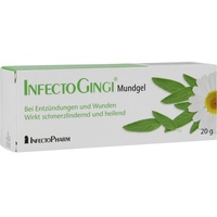 InfectoPharm Arzneimittel und Consilium Infectogingi Mundgel
