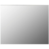VidaXL Spiegel 100x50 cm Glas