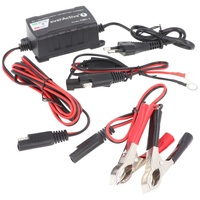 Everactive Ladegerät für 6 Volt und 12 Volt für