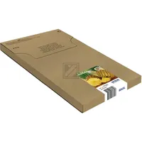 Epson 604XL Ananas CMYK EasyMail