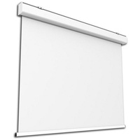 Celexon Leinwand Motor Expert 250x156cm (1000009362)