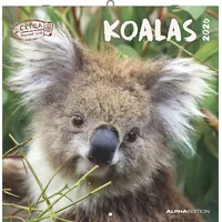 Neumann Koalas 2023 - Broschürenkalender 30x30 cm (30x60 geöffnet)