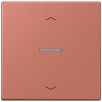 Jung Taster 1fach BT LC 17101 P 236