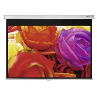 Optoma DS-1123PMG+ 266x166 16:10