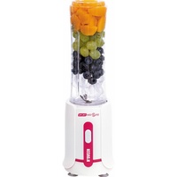 N'OVEEN Noveen Mini Mixer Smoothie Maker/Mixer Pinsel 300 Watt