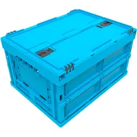 0 2x 0, Aufbewahrungsbox, EURO-Mass Faltbox 4322 DL, (22