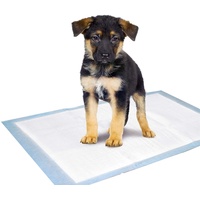 Karlie Puppy Pads Trainingsmatte L: 35 cm B: 45
