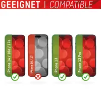 Displex Real Glass für iPhone 13/13 Pro/16