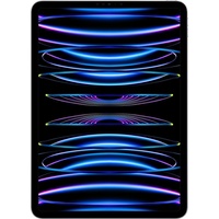 Apple iPad Pro Liquid Retina 11.0" 2022 1 TB