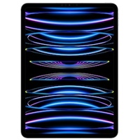 Apple iPad Pro Liquid Retina 11.0" 2022 1 TB