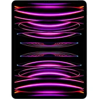 Apple iPad Pro 12,9" (6. Generation 2022) 1 TB