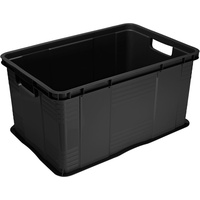 Rotho Aufbewahrungsbox Agilo A3 55 L schwarz 59 x