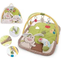 NICI Activity Decke