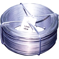 E-NORMpro Drahtspinne verzinkt 100 m 10 St.