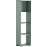 Schildmeyer Regal Carlos 153707, Pistazie, 36,3 x 33 x