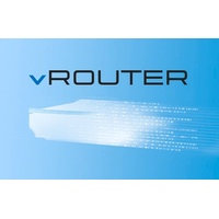 Lancom Systems LANCOM vRouter unlimited 3000 Sites, 256 ARF,