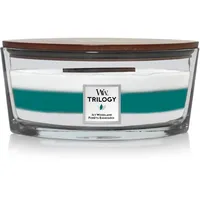 Woodwick Icy Woodland ellipse Kerze 453 g