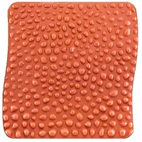 Sanvithek goFit Gesundheitsmatte (Das Original)