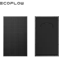 ECOFLOW 100W Starres Solarpanel, 100Wp, 2 Stück, 200Wp