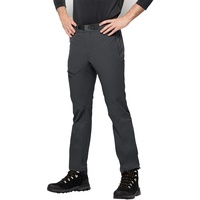 Jack Wolfskin Holdsteig Wanderhose, Phantom, 48 EU