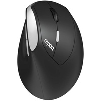 Rapoo EV250 Silent Ergonomic Wireless Mouse schwarz/silber, USB (13531)