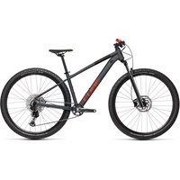 Cube Analog 2023 29 Zoll RH 50,8 cm flashgrey'n'red