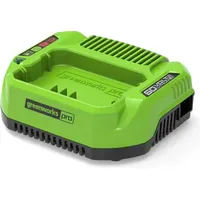 Greenworks G60UC Ladegerät 60 V