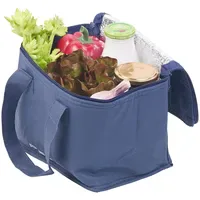 Pearl Isolierte Mini-Kühltasche mit 2 Tragegurten, 6 Liter