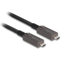 DeLock Aktives Optisches USB-CTM Video + Daten + PD