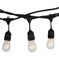 ETC Shop Außen-Lichterkette, schwarz, Gummi, L 15 m -