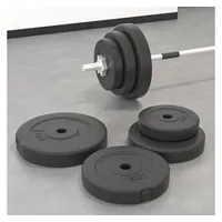 VidaXL Hantelscheiben 6 Stk. 30 kg Zement