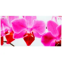 MCW Glasbild T114, Wandbild Poster Motiv, 50x100cm Orchidee
