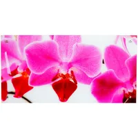 MCW Orchidee Glas 50x100 cm