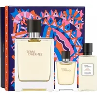 Hermès Terre d'Hermès Eau de Toilette 100 ml +