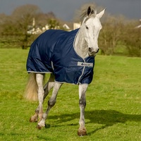 Kerbl Bucas Freedom Turnout 165 Pferdedecke 150g, Navy/Silber
