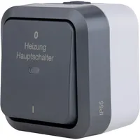REV Ritter Aquastorm Heizungs-Hauptschalter mit Glimmlampe Aufputz grau -