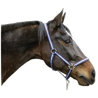 Kerbl Nylonhalfter Hippo, Halfter